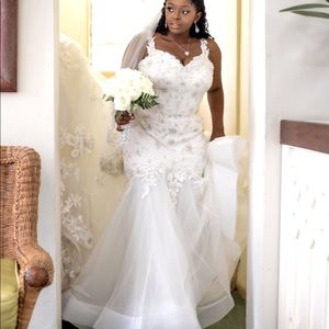 Wedding dress and veil